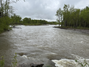 emergency flood clean up Gallatin County, Montana
