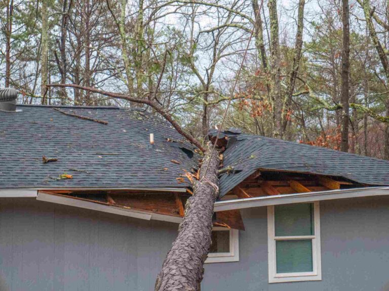 Fallen tree causing severe roof damage to residential home after storm requiring emergency storm damage restoration by Paul Davis Restoration of Southwest Montana